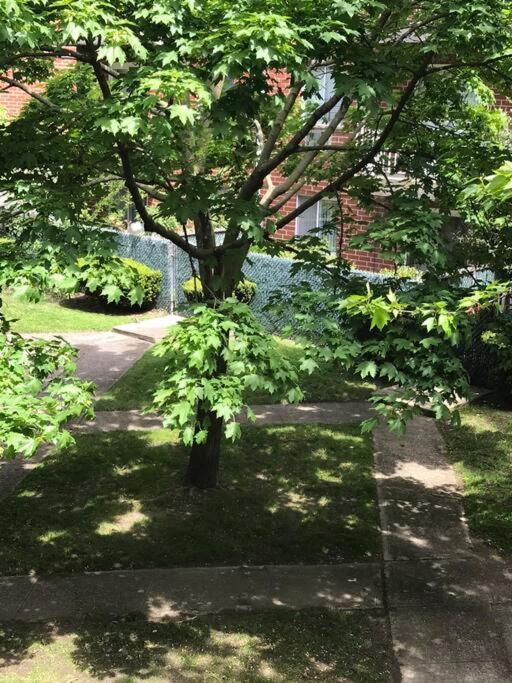 Brooklyn Luxury Spring Retreat With Private Outdoor Space New York Ngoại thất bức ảnh