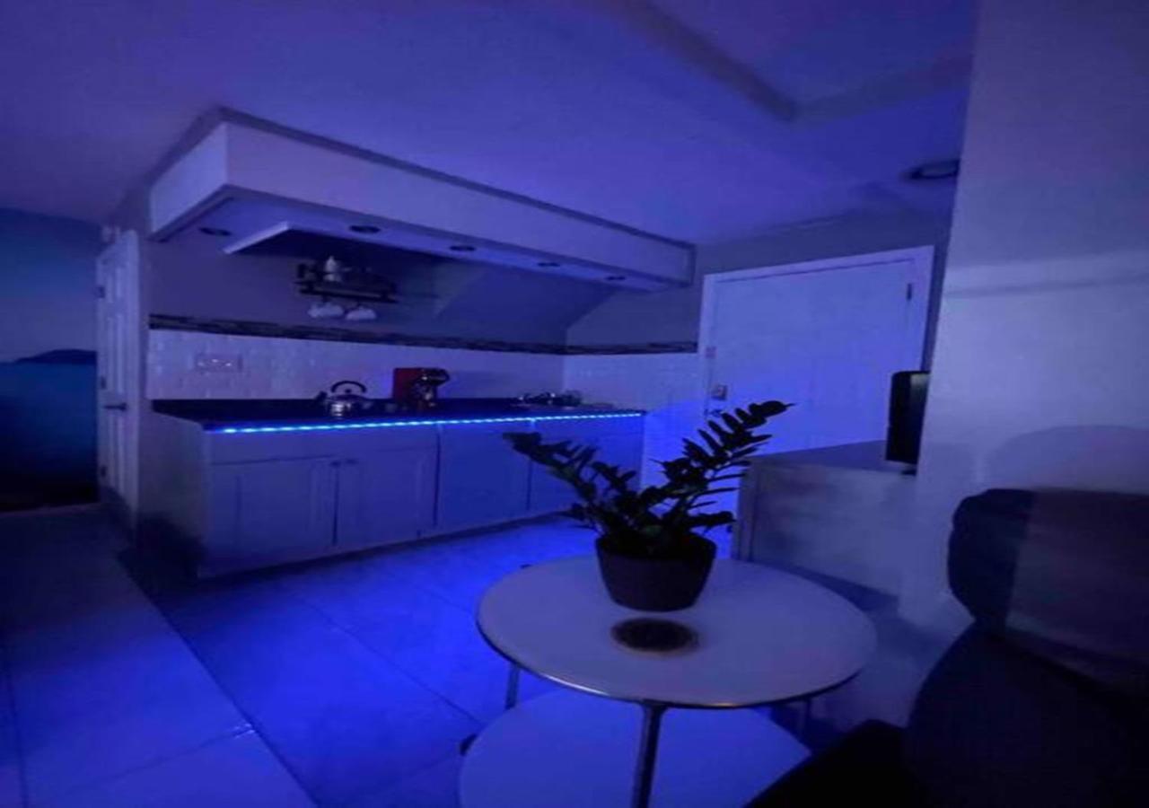 Brooklyn Luxury Spring Retreat With Private Outdoor Space New York Ngoại thất bức ảnh